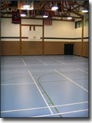 Badminton Courts